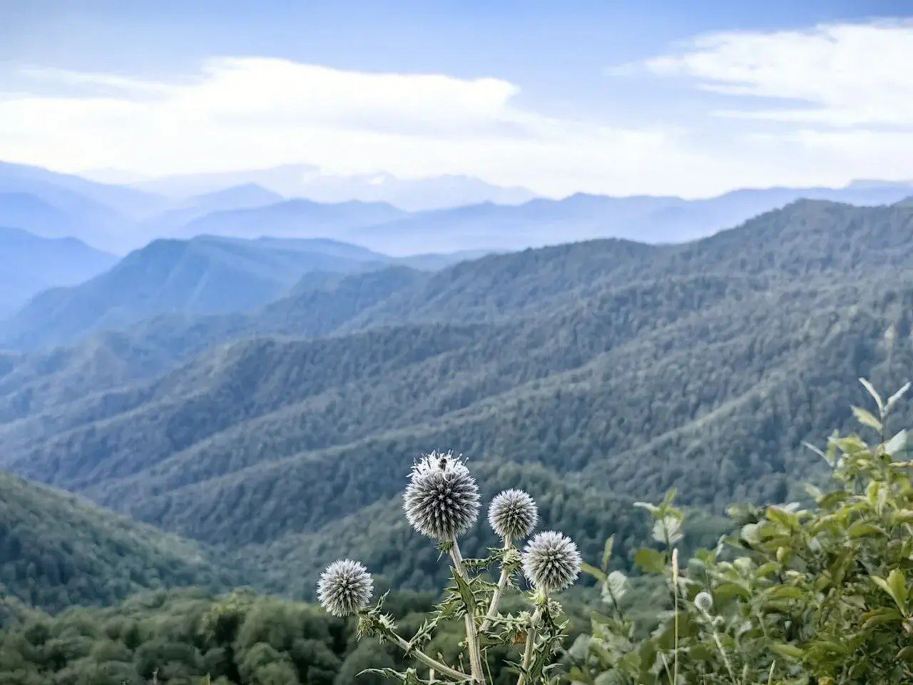 Горная панорама Адыгеи